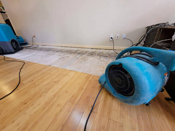 Reliable Basement Flood Cleanup contractor in Abingdon, VA by Hirex Water Damage