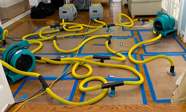 Professional Basement Flood Cleanup technician working in Abingdon, VA